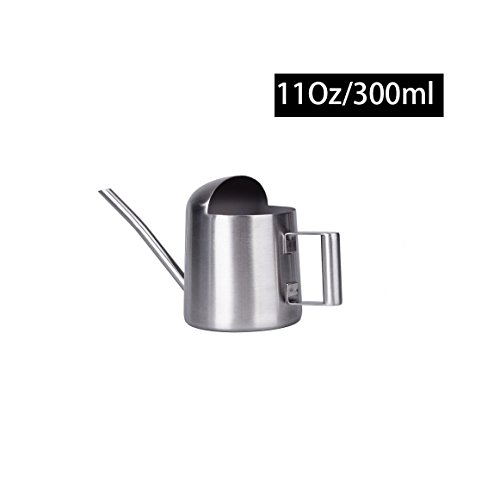 IMEEA Mini Watering Can for Succulents & Bonsai Tiny Stainless Steel Indoor Plant Watering Can with Long Spout for Small Desk Plants, 11oz/300ml