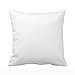 Vintage Feed Sack' Polyester Pillow Case 16 x 16 Inches