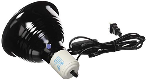 Fluker's 27002 Repta-Clamp Lamp with Switch for Reptiles, 5.5-Inch - //medicalbooks.filipinodoctors.org