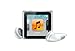 Apple iPod nano 8 GB Silver (6th Generation) (Discontinued by Manufacturer)