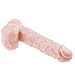 Sex Talk 3PC Realistic Dildos 7 Inch Flexible Huge Penis and Anal Waterproof Dildo Vibrator and Strong Suction Cup Sex Products for Women