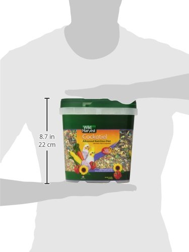 WILD HARVEST WH-83541 WILD HARVEST ADVANCED NUTRITION DIET FOR COCKATIELS, 4.5-POUND