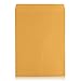 9 X 12 Self-Seal Brown Kraft Catalog Envelopes - 28lb - 30 Count, 9x12 Inch (38030)