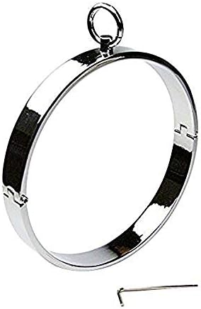 camaTech Stainless Steel Lockable Metal Slave Neck Collar Neck Ring Locking Choker Necklace