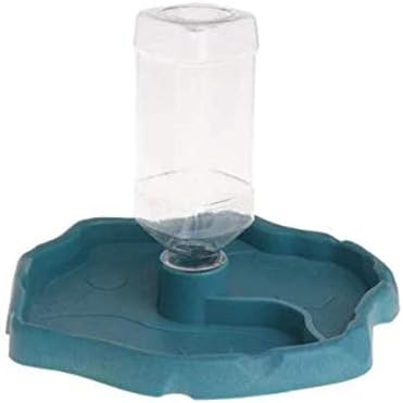 Amazon Com Karen Low Reptile Lizard Turtle 2 In 1 Water And Food