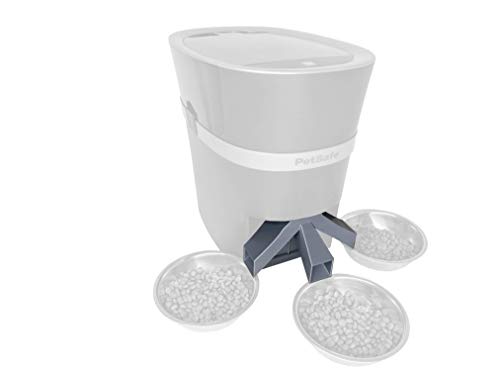 automatic feeder for multiple cats