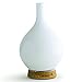 Greenair SpaMister Ultrasonic Oil Diffuser Milk Glass Advanced Wellness Instant Healthful Mist Therapy #994