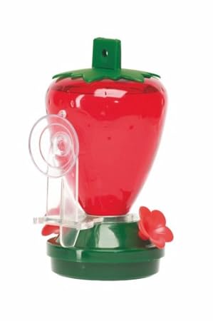 Amazon Com Cherry Valley Feeder 12 Ounce Plastic Strawberry