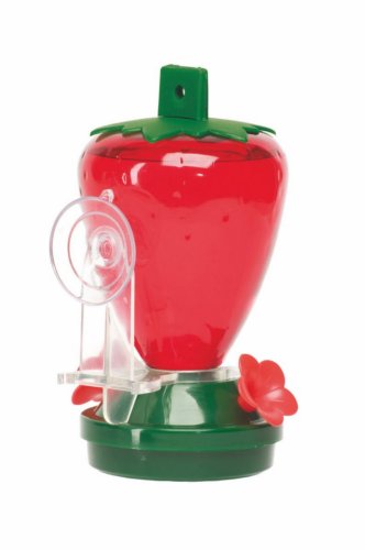 Amazon Com Cherry Valley Feeder 12 Ounce Plastic Strawberry