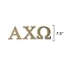 Desert Cactus Alpha Chi Omega Wooden Letter Set Sorority 7.5 Inch Unfinished Wood AXO