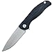 Eafengrow EF33 Folding Knife G10 Handle Ball Bearing Tactical Pocket Knives Outdoor Survival Hunting Camping Tools (black)
