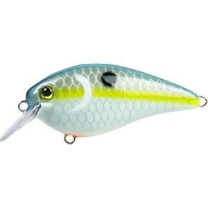 Strike King Kvd1.5 Carré Bill Crankbait, Sexy Shad, 2 1/5,1 Cm/7/453,6 Gram