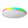 Taloya Smart Ceiling Light Flush Mount LED WiFi, Compatible with Alexa Google Home, Dimmable Low Profile Ambient Light…