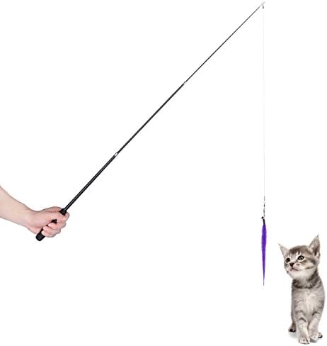 Aigou Cat Wand with Teaser Toys, Long Dangler Stick Fishing Rod with 5 Pieces Fun Teaser and bell Refill Pack for Cat and Kitten (3 Pcs Car Teaser)