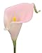 Duovlo 20pcs Calla Lily Bridal Wedding Bouquet Lataex Real Touch Artificial Flower Home Party Decor (Pink)