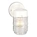 Design House 500181 Jelly Jar 1 Light Indoor/Outdoor Wall Light, White primary