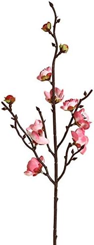 Amazon ボケの花造花植物盆栽結婚式の装飾insが表示梅の花人工フェイクフラワーボトルボトル C 米国 造花 オンライン通販