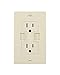 NTDPWR2U15ATRI - NEWER TECH NWTPWR2U15ATRI Power 2U 15-Amp In-Wall Dual AC USB Wall Outlet (Ivory)