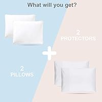 Basic Beyond Goose Down Feather Pillow 2 Pack Luxury Gusseted