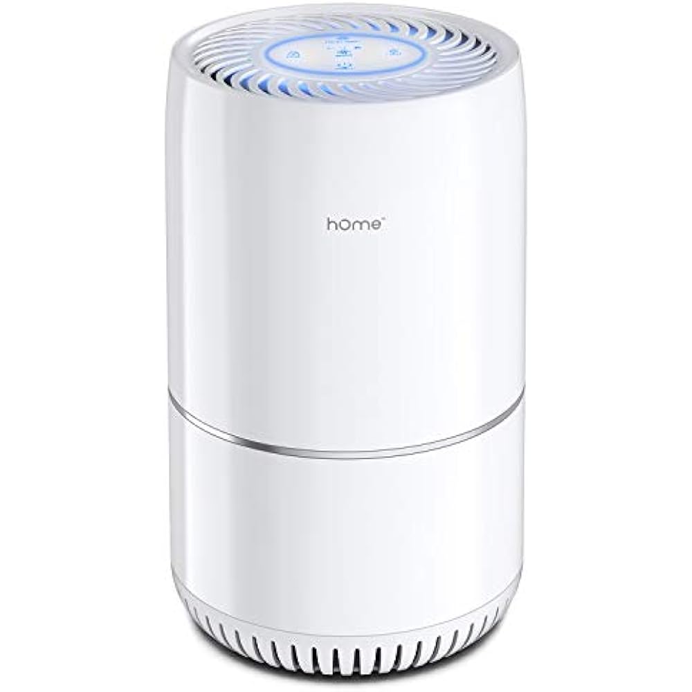 HOmeLabs Air Purifier For Home, Bedroom Office True HEPA H13 Filter