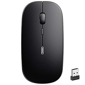 INPHIC Wireless Mouse Rechargeable, Ultra Thin 1600 DPI Mini 2.4G Silent Optical Cordless Mouse Mice for Laptop,PC…