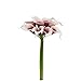 Angel Isabella 10pc Set of Real Touch Calla Lily-Keepsake Artificial Calla Lily with Small Bloom Perfect for Making Bouquet, Boutonniere,Corsage.Quality Keepsake Artificial Flower (Picasso Wine)