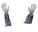 Forum Novelties Zombie Hands and Arm Lawn Stakes, 2-Pieces