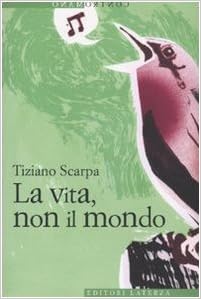 mondo scarpa