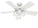 Hunter Southern Breeze Indoor Ceiling Fan with LED Lights and Pull Chain Control