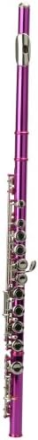 Western Woodwind Instrument, C 16-Key Closed Hole Flute with Case,Polish Cloth,Lubricant,Cleaning Rod and screw driver (Rose Red)