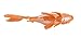 Safari Ltd Incredible Creatures – Goldfish – Realistic Hand Painted Toy Figurine Model – Quality Construction from Safe and BPA Free Materials – For Ages 3 and Up – Large