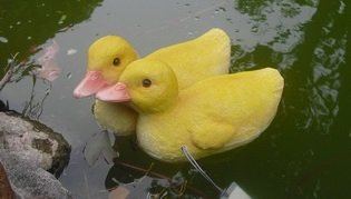 Wonderland Plastic Floating Ducks for Decor, 7.1x5.6x4.5 Inches (Yellow)