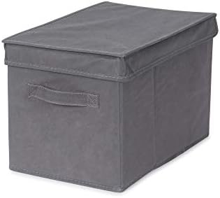 Store & Style - Caja de almacenaje con tapa, 25 x 20 x 40 cm (gris): Amazon.es: Hogar