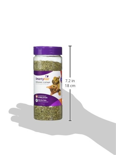 6 SmartyKat+9345+Organic+Catnip+Canister