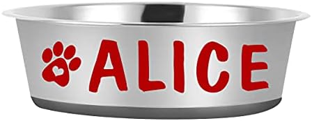 Didog Personalized Dog Bowl with Pet Name,No Spill Non-Skid Stainless Steel 32 Oz Dog Bowls with Custom 3D Print Design,Pet Dish for Dry/Wet Food and Water for Dog Puppy Cat and Kitten