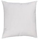 15 by 15 pillow insert