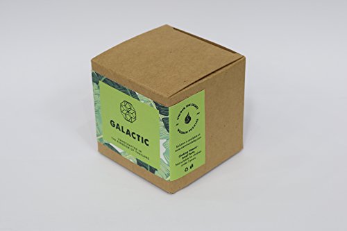 Galactic: Handmade & Organic 3D Brain Teaser Wooden Puzzle for Adults from SiamMandalay with Free SM Gift Box(Pictured)