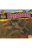 Pteranodon (Discovering Dinosaurs)