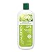 AUBREY GPB Balancing Protein Conditioner | Replenishes, Strengthens & Nourishes Damaged Hair | Aloe & Shea Butter | 75% Organic Ingredients | 16oz