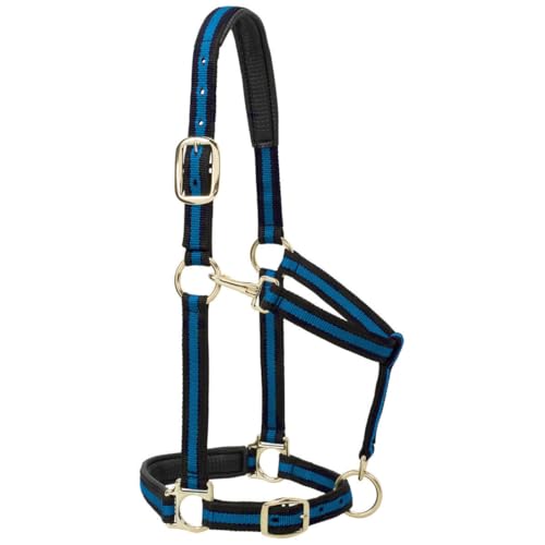 Weaver Leather Padded Adjustable Nylon Horse Halter, Blue, 1 Large Horse