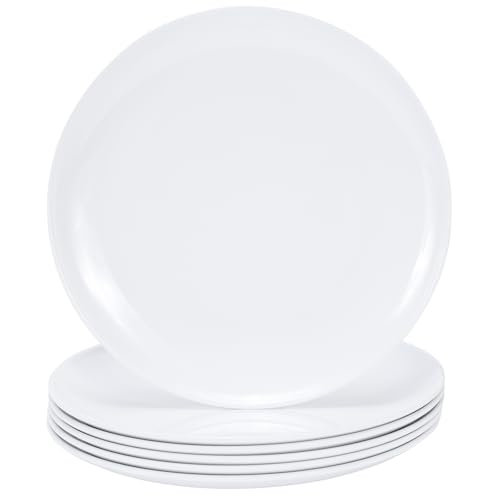 DoDoware 11-inch Melamine Plates, Lightweight