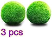 JIALONGZI Moss Ball Live Plant Aquarium Fish Tank Ornament Low Maintenance,Curbs Algae Growth