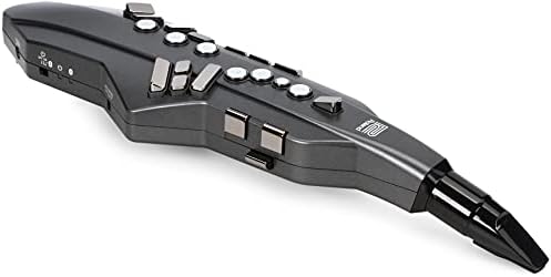 Amazon.com: Roland AE-10G Aerophone Digital Wind Instrument 