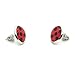 Miraculous Ladybug Earrings Charm Stud Stainless Steel Chat Noir Cosplay Costume Rena Rouge Volpina
