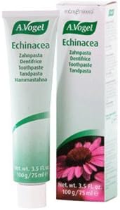 A VOGEL, ECHINACEA TOOTHPASTE 3.5 OZ EA 1