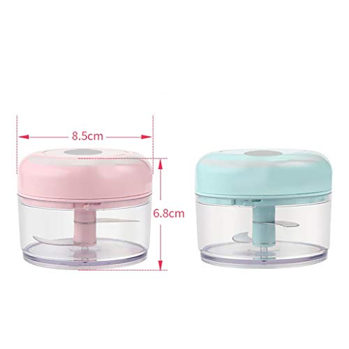Mini Manual Food Chopper,Durable Hand Held Food Choppers and Dicers