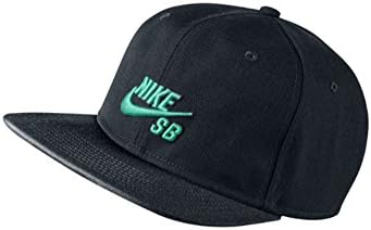 nike sb icon pro snapback