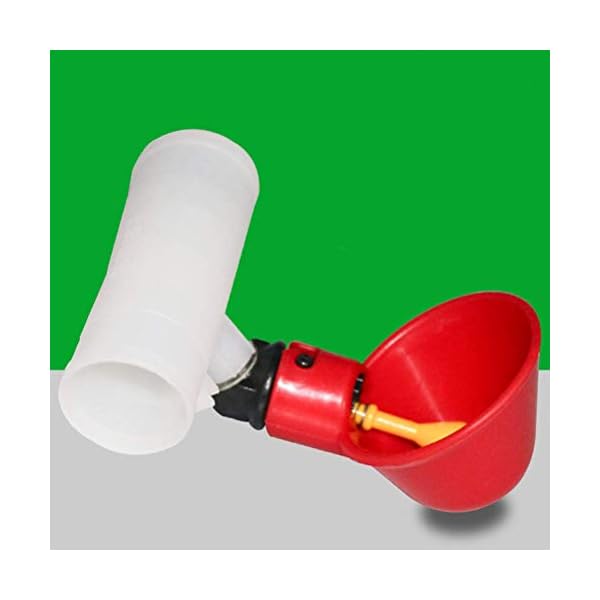 SEESEE.U Alimentatore Automatico di Pollo Waterer Pollame Capezzolo Bevitori di mangime Piccione Pollo Ciotola per Tubo…