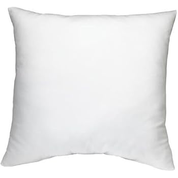 Amazon Com Dreamhome Square Poly Pillow Insert 18 L X 18 W
