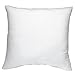 DreamHome Square Poly Pillow Insert, 18" L X 18" W, White primary